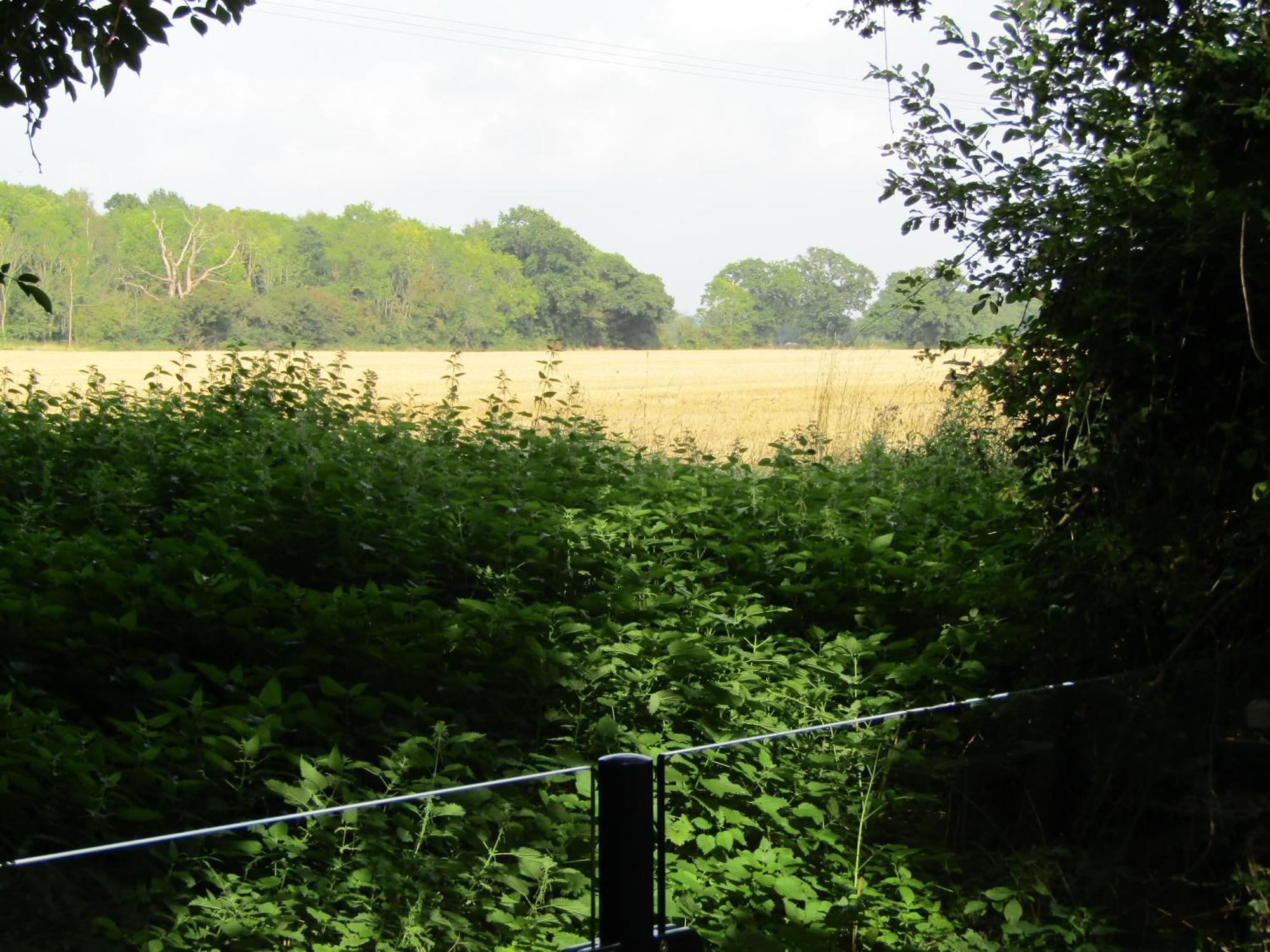 The Lily Pad Suffolk Holiday home *